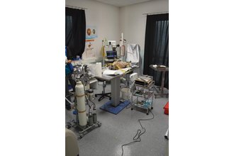 Geräteaufbau für die endoskopische Dickdarm-Untersuchung